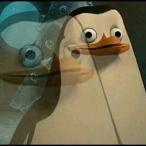 Meet your Posher, Jasmin